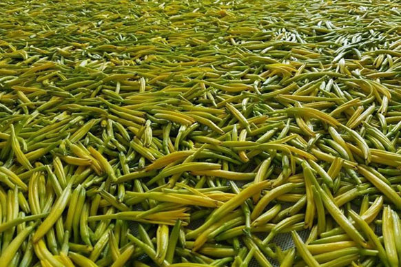 無硫金針菜烘干如何保持品相？不發(fā)黑？
