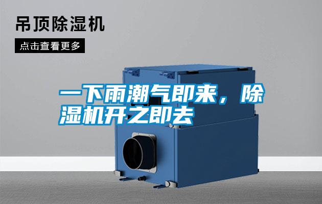 一下雨潮氣即來，除濕機開之即去
