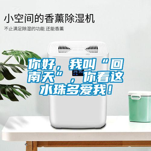 你好，我叫“回南天”，你看這水珠多愛我！