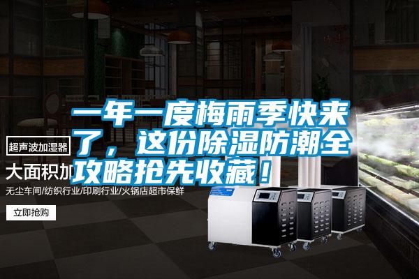 一年一度梅雨季快來了，這份除濕防潮全攻略搶先收藏！