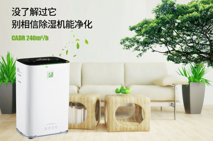 一到回南天狗狗就感冒+皮膚病，怎么辦？