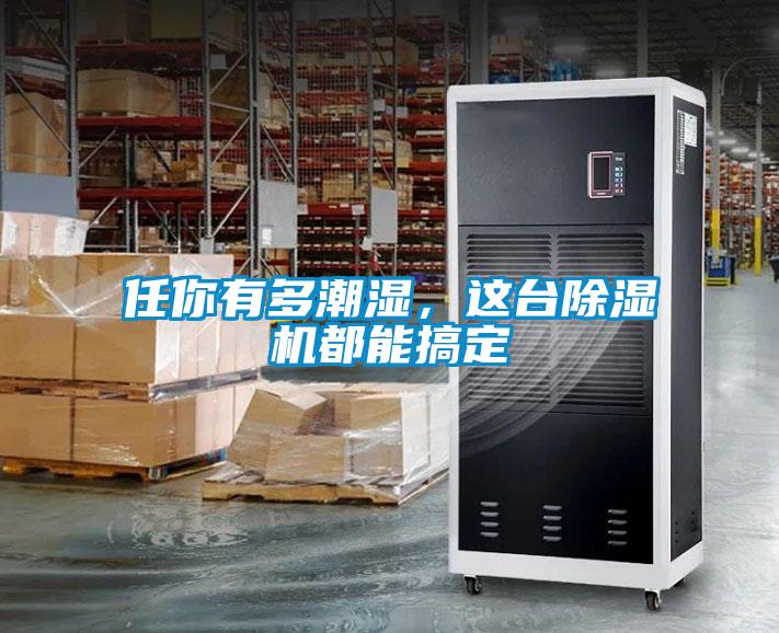 任你有多潮濕，這臺除濕機都能搞定
