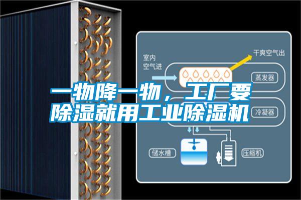 一物降一物，工廠要除濕就用工業(yè)除濕機(jī)