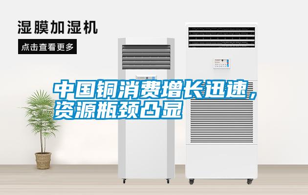中國銅消費增長迅速，資源瓶頸凸顯