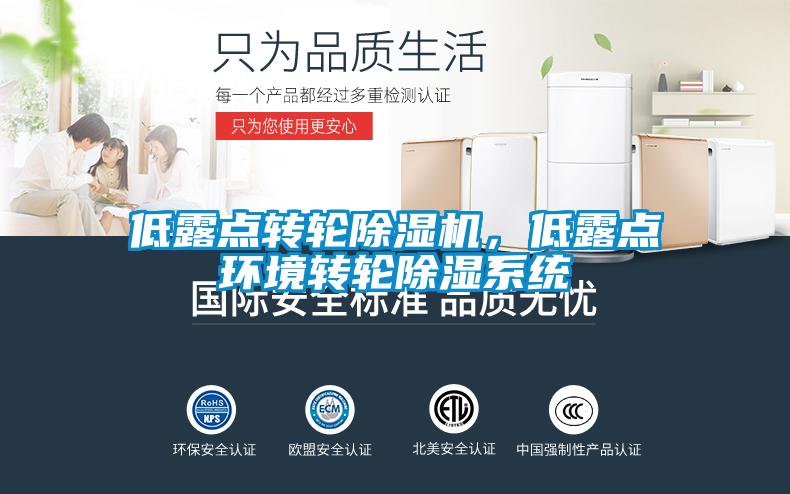 低露點轉(zhuǎn)輪除濕機(jī)，低露點環(huán)境轉(zhuǎn)輪除濕系統(tǒng)