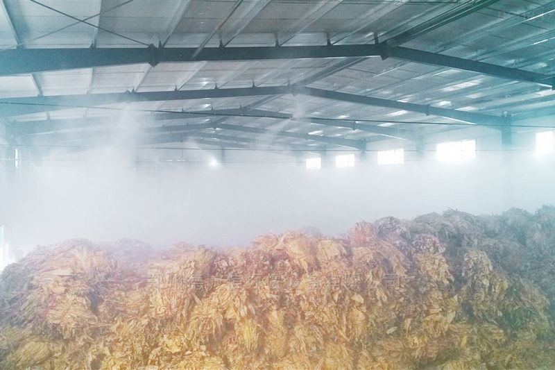 提升煙葉加工質量，高效回潮很重要