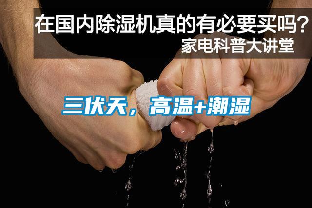 三伏天，高溫+潮濕