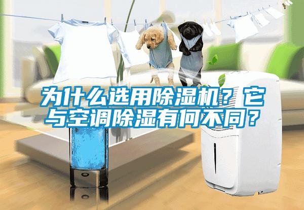 為什么選用除濕機？它與空調(diào)除濕有何不同？