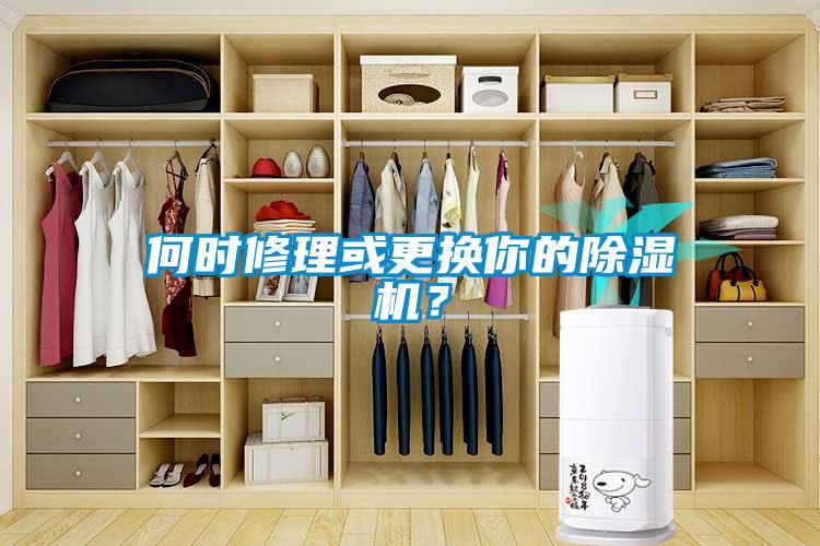 何時(shí)修理或更換你的除濕機(jī)？