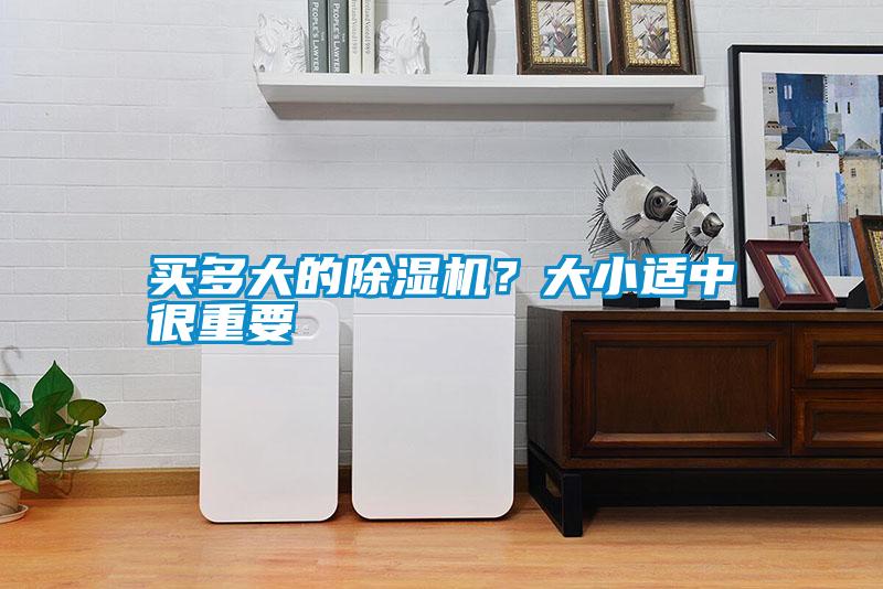 買多大的除濕機？大小適中很重要