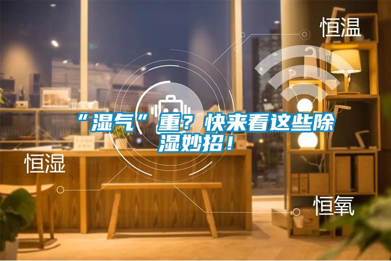 “濕氣”重？快來看這些除濕妙招！
