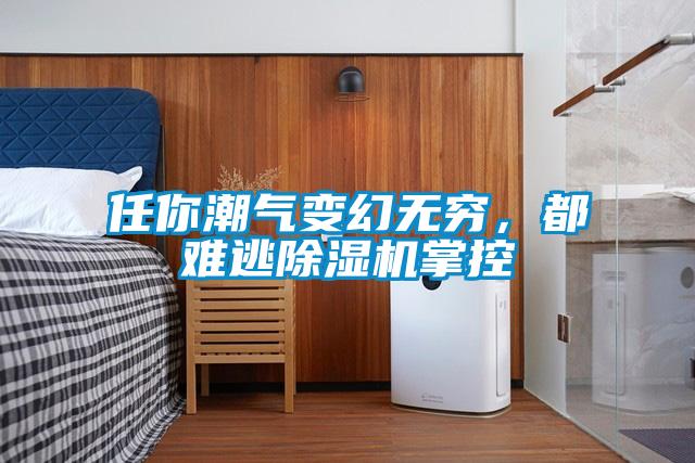 任你潮氣變幻無窮，都難逃除濕機掌控