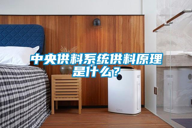中央供料系統(tǒng)供料原理是什么？
