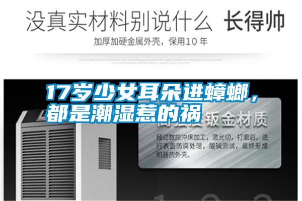 17歲少女耳朵進蟑螂，都是潮濕惹的禍