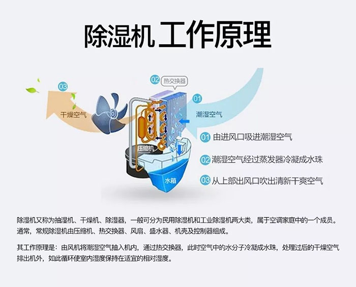 南方梅雨季到了房屋墻壁滲水、返潮怎么辦？