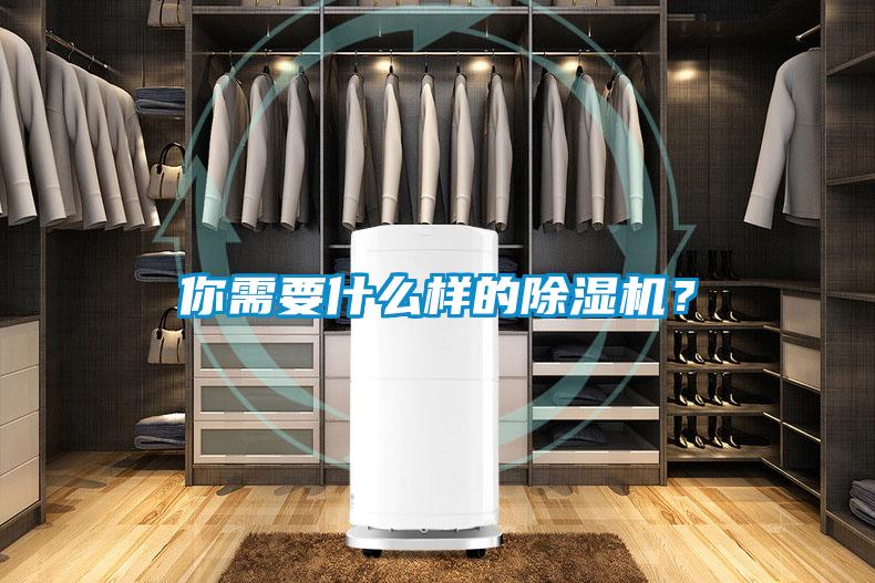 你需要什么樣的除濕機(jī)？