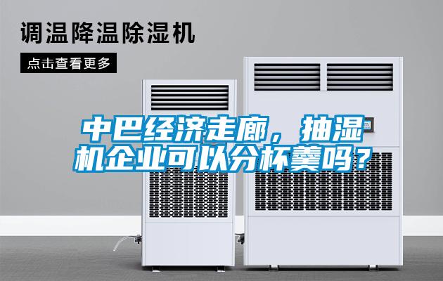 中巴經(jīng)濟(jì)走廊，抽濕機(jī)企業(yè)可以分杯羹嗎？