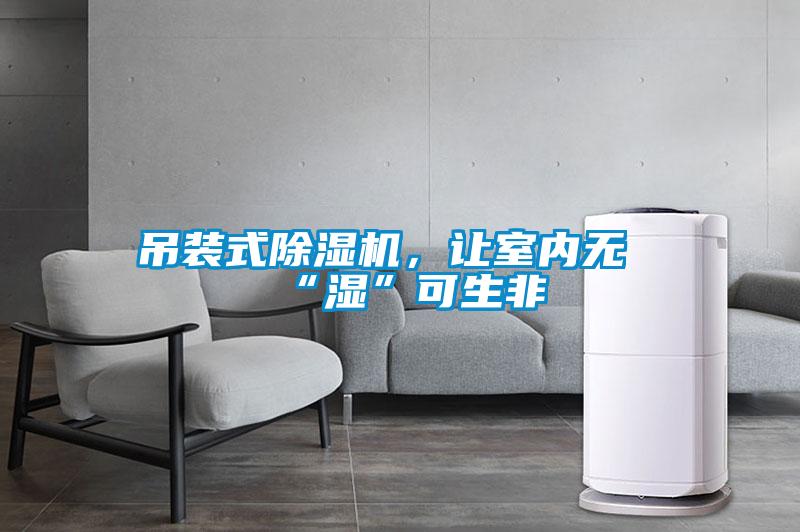 吊裝式除濕機(jī)，讓室內(nèi)無“濕”可生非