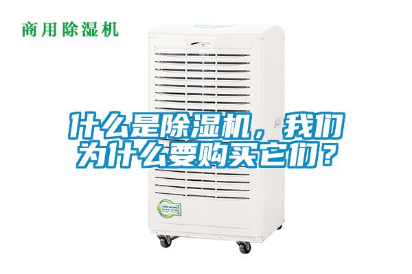 什么是除濕機，我們?yōu)槭裁匆徺I它們？
