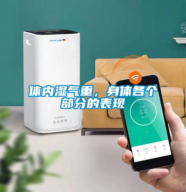 體內(nèi)濕氣重，身體各個部分的表現(xiàn)