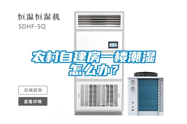 農(nóng)村自建房一樓潮濕怎么辦？