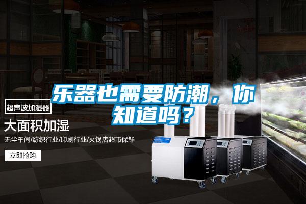 樂器也需要防潮，你知道嗎？