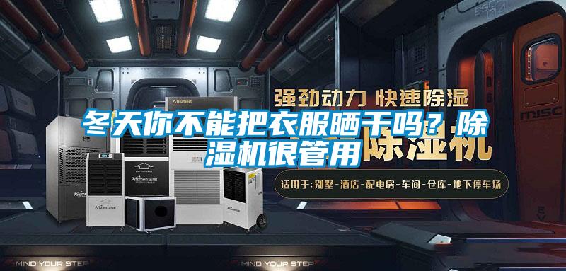 冬天你不能把衣服曬干嗎？除濕機(jī)很管用