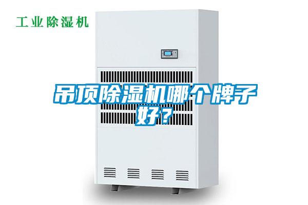 吊頂除濕機(jī)哪個(gè)牌子好？
