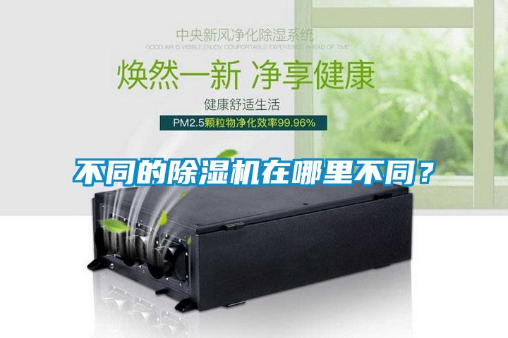 不同的除濕機在哪里不同？