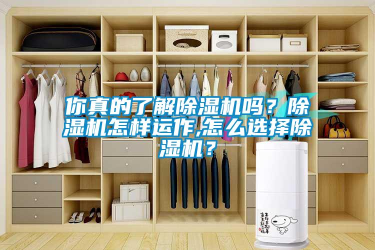 你真的了解除濕機(jī)嗎？除濕機(jī)怎樣運(yùn)作,怎么選擇除濕機(jī)？