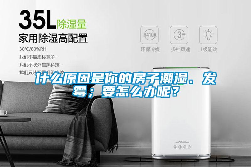 什么原因是你的房子潮濕、發(fā)霉；要怎么辦呢？