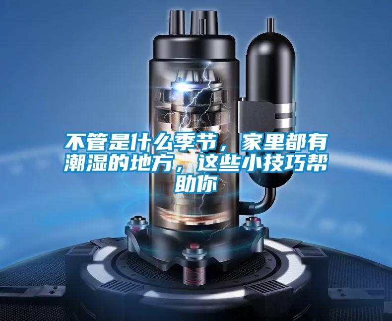 不管是什么季節(jié)，家里都有潮濕的地方，這些小技巧幫助你
