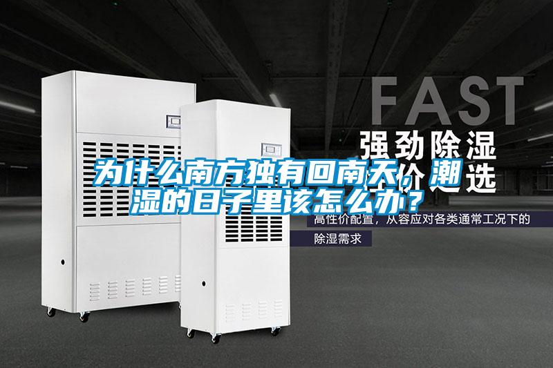 為什么南方獨(dú)有回南天，潮濕的日子里該怎么辦？