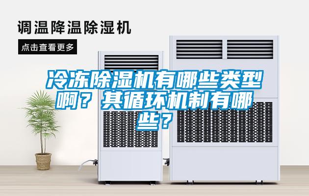 冷凍除濕機(jī)有哪些類型?。科溲h(huán)機(jī)制有哪些？
