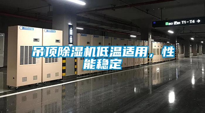 吊頂除濕機(jī)低溫適用，性能穩(wěn)定