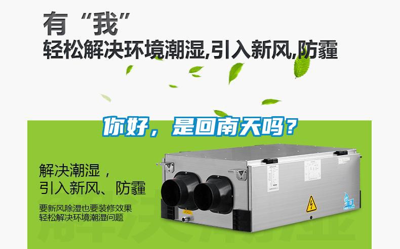 你好，是回南天嗎？