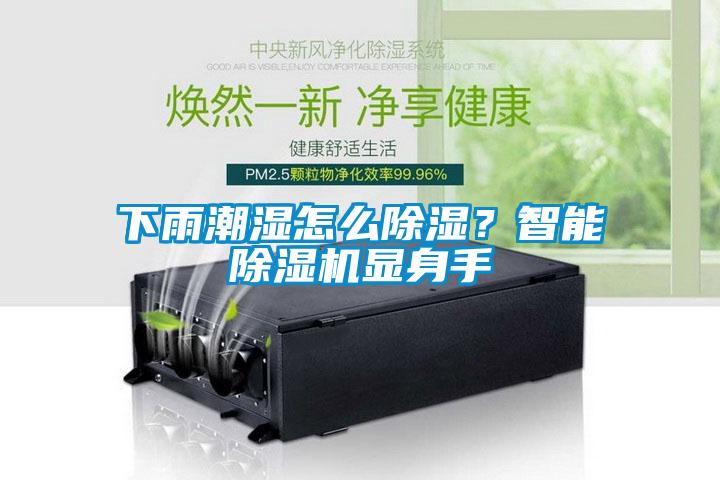 下雨潮濕怎么除濕？智能除濕機顯身手