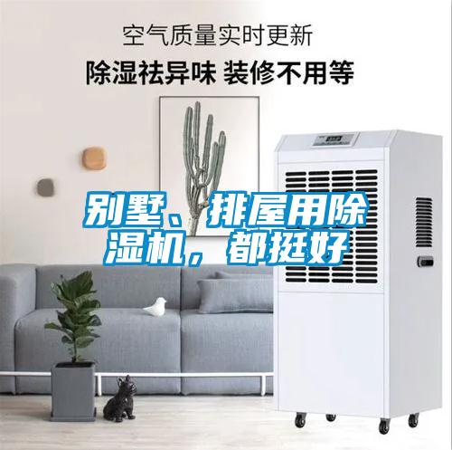 別墅、排屋用除濕機(jī)，都挺好