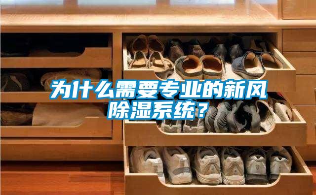 為什么需要專業(yè)的新風(fēng)除濕系統(tǒng)？