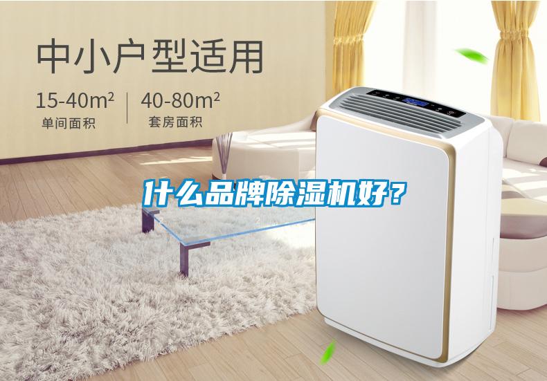 什么品牌除濕機(jī)好？
