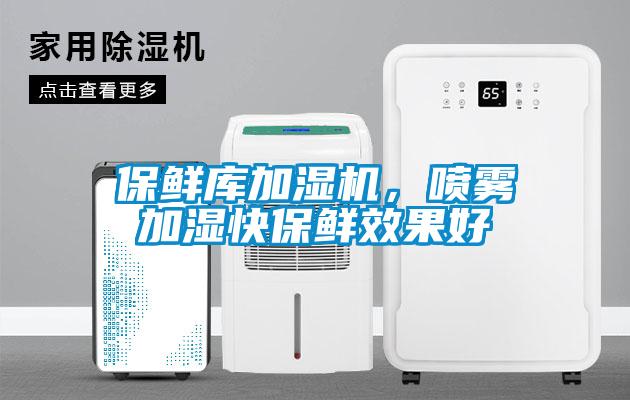 保鮮庫(kù)加濕機(jī)，噴霧加濕快保鮮效果好
