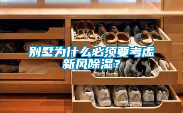 別墅為什么必須要考慮新風(fēng)除濕？