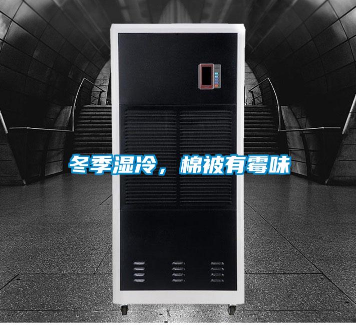 冬季濕冷，棉被有霉味
