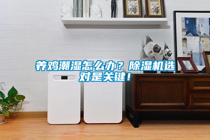 養(yǎng)雞潮濕怎么辦？除濕機(jī)選對(duì)是關(guān)鍵！
