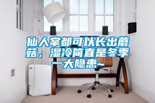 仙人掌都可以長出蘑菇，濕冷簡直是冬季一大隱患~