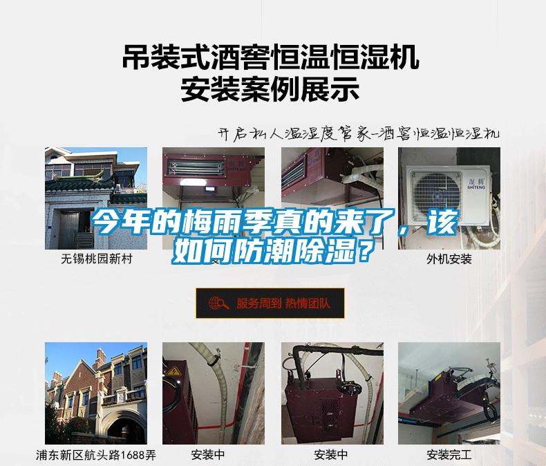 今年的梅雨季真的來(lái)了，該如何防潮除濕？
