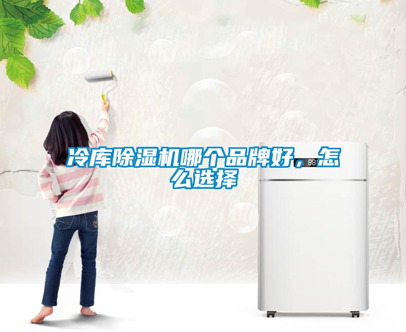 冷庫(kù)除濕機(jī)哪個(gè)品牌好，怎么選擇
