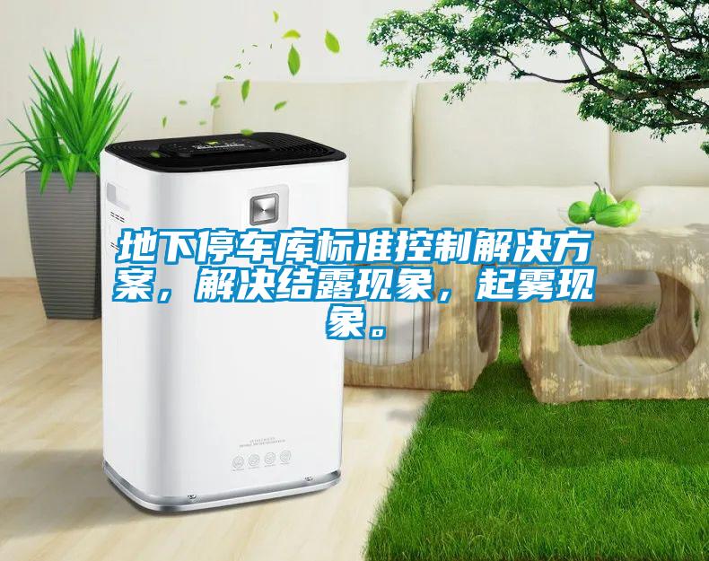 地下停車庫標準控制解決方案，解決結(jié)露現(xiàn)象，起霧現(xiàn)象。