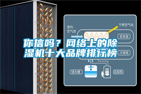 你信嗎？網(wǎng)絡(luò)上的除濕機(jī)十大品牌排行榜