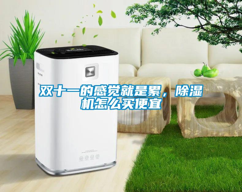 雙十一的感覺(jué)就是累，除濕機(jī)怎么買便宜